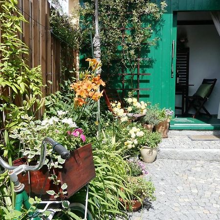 Apartman Horšovský Týn المظهر الخارجي الصورة